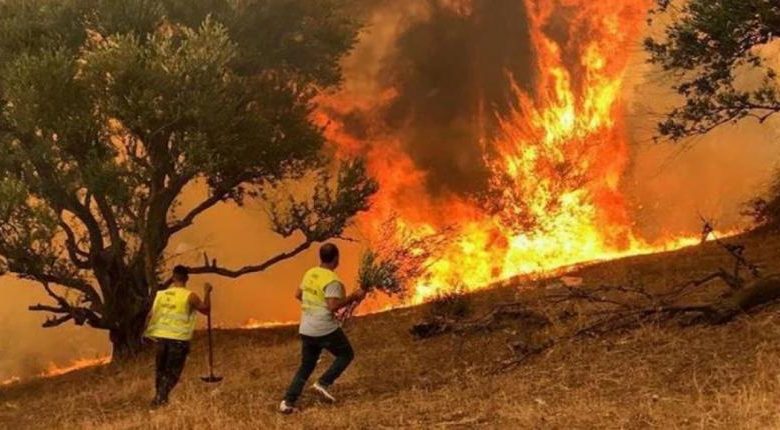 وسط موجة حر قياسية.. الجزائر وتونس تكافحان لاحتواء حرائق اودت بحياة العشرات