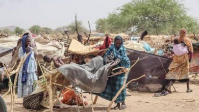 20 مليونا في السودان يعانون انعدام الأمن الغذائيّ