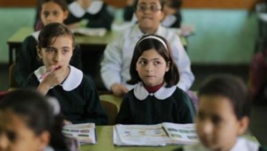 الإحصاء: معدلات الأمية في فلسطين من الأقل في العالم