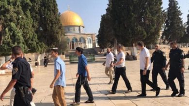 مستوطنونيحاولون إدخال قرابين "حيوانية" للبلدة القديمة بالقدس المحتلة