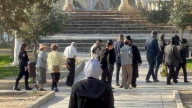 مستوطنون يقتحمون المسجد الأقصى بحماية شرطة الاحتلال مستوطنون يقتحمون المسجد الأقصى بحماية شرطة الاحتلال