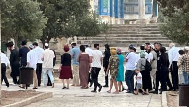 لليوم الخامس.. مستوطنون يقتحمون المسجد الاقصى