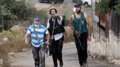 مستوطن بحماية الاحتلال يطلق الرصاص صوب مزارع في بيت أمر ويجبره على مغادرة أرضه
