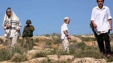 مستوطنون يهاجمون قاطفي الزيتون في يانون جنوب نابلس