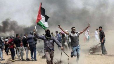 عدد الشهداء هذا العام هو الأكبر في فلسطين منذ النكبة