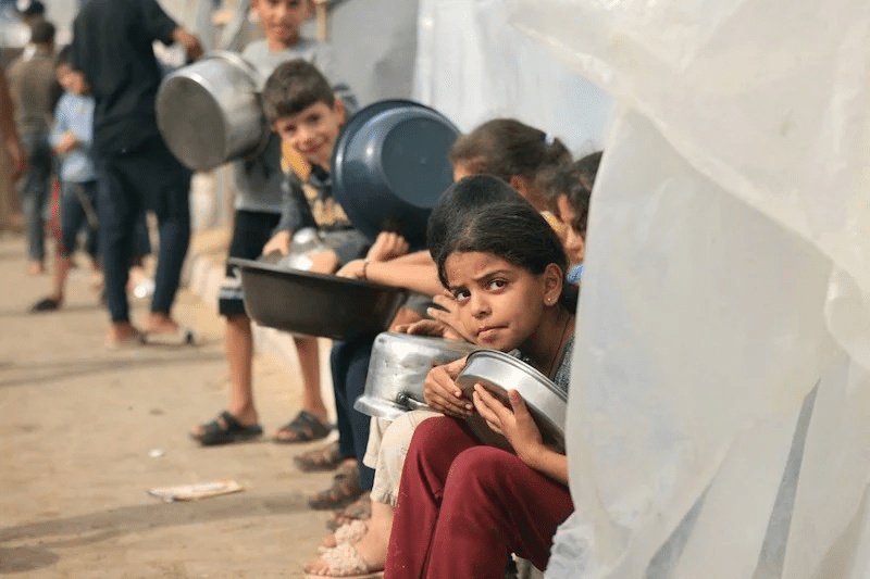 ارتفاع حاد في مستوى الجوع بغزة.. الفلسطينيون يلجأون إلى الحشائش والطعام غير الناضج