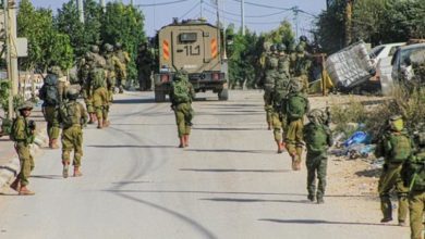 الاحتلال يعتقل فتى ويسرق 60 رأس غنم شرق بيت لحم