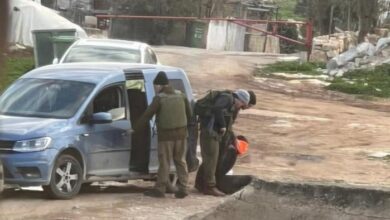 إصابة متضامنين أجنبيين بجروح في اعتداء للمستوطنين بمسافر يطا