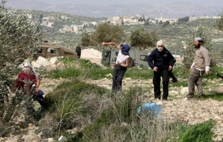 مستوطنون يهاجمون مركبات المواطنين قرب بزاريا شمال غرب نابلس