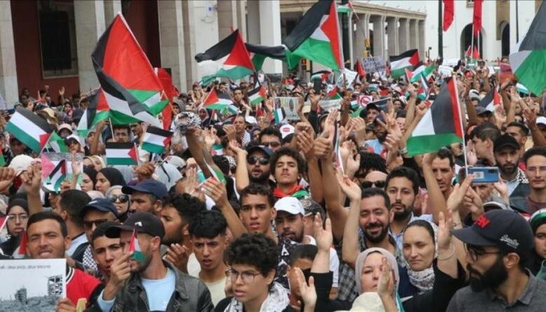 الإعلان عن يوم عالمي للتضامن مع غزة.. حراك في عشرات الدول حول العالم