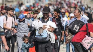 جريمة حرب جديدة..."إسرائيل" تحول ممر النزوح القسري جنوب غزة إلى مصيدة لقتل الجوعى والنازحين الفلسطينيين