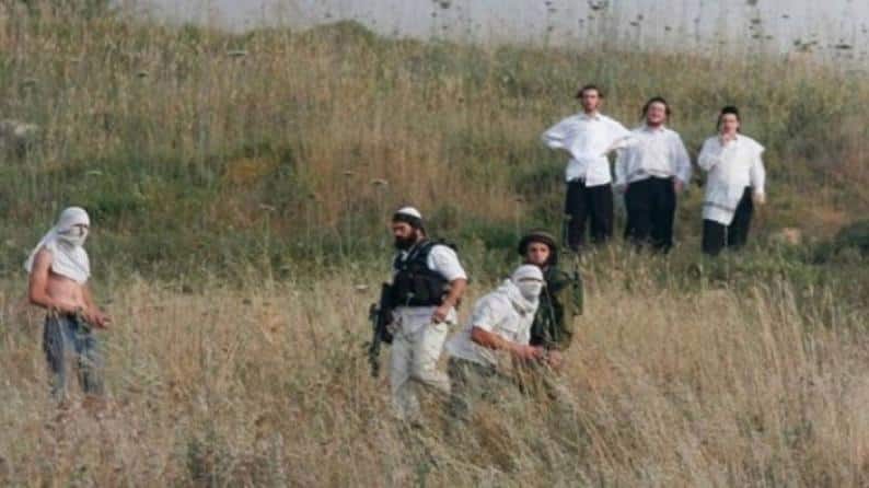 مستوطنون يهاجمون خربة الطوبا جنوب الخليل مستوطنون يهاجمون خربة الطوبا جنوب الخليل