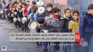 وفاة رضيعين بسوء التغذية... الأمم المتحدة تحذر من مجاعة وشيكة بغزة