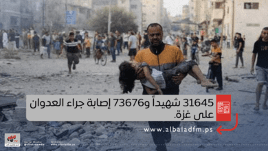 31645 شهيداً و73676 إصابة جراء العدوان على غزة