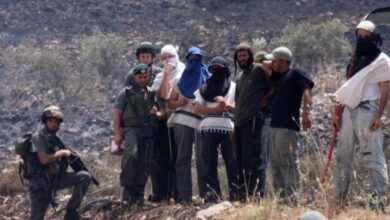 مستوطنون يهاجمون بلدة قصرة جنوب نابلس ويستولون على مركبة