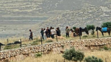 مستوطنون يهاجمون المواطنين قرب المغير شرق رام الله