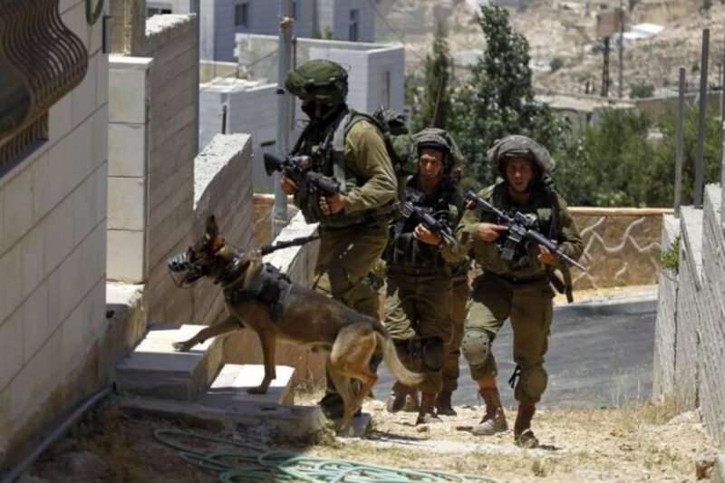 الاحتلال يعتقل خمسة شبان في البلدة القديمة من الخليل