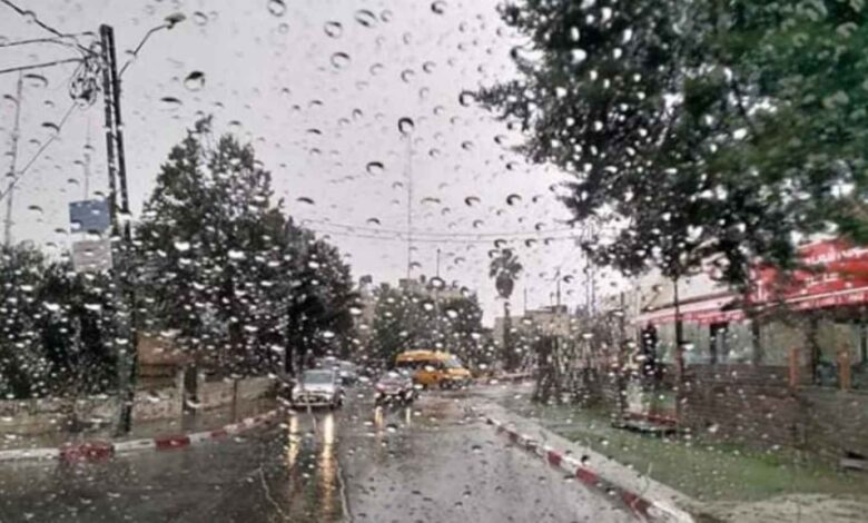الطقس: أجواء باردة وأمطار متفرقة على بعض المناطق