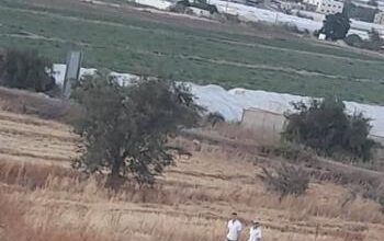 مستوطنون يقتحمون تل الحمة في الأغوار الشمالية