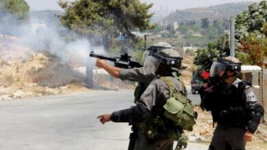 إصابة طفلين شقيقين برصاص الاحتلال في جيوس شرق قلقيلية