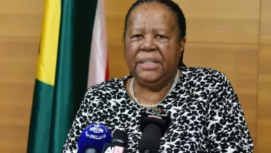 وزيرة خارجية جنوب إفريقيا: ما يحدث في فلسطين فصل عنصري