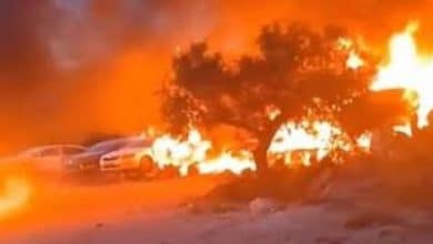 مستوطنون يضرمون النار في أراضي قصرة جنوب نابلس