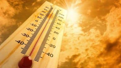 الطقس: أجواء شديدة الحرارة
