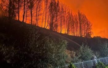 النيران تلتهم مستوطنات الشمال والاحتلال يدفع بالجيش للمساعدة في إخمادها وبن غفير يدعو لـ"حرق" لبنان