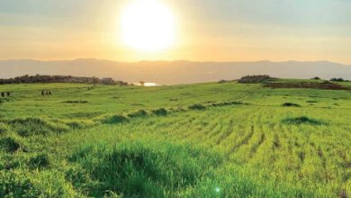 ارتفاع على درجات الحرارة