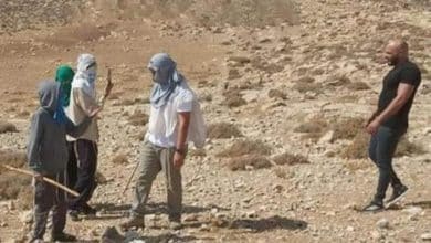 مستوطن يمنع طلبة بدو الكعابنة شمال غرب أريحا من الوصول لمدرستهم