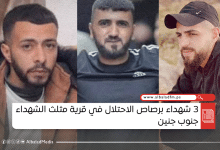 3 شهداء برصاص الاحتلال في قرية مثلث الشهداء جنوب جنين