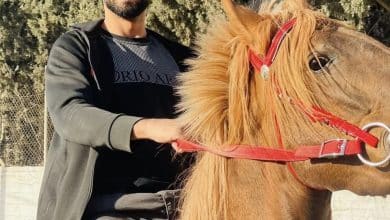 ارتقاء شاب برصاص الاجهزة الامنية في مخيم جنين، والاشتباكات مستمرة.