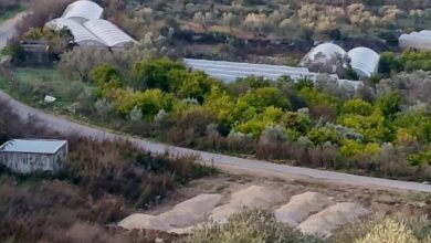 مستوطنون يباشرون بإقامة بؤرة استيطانية على أراضي الناقورة في نابلس