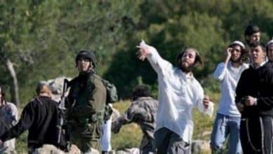مستوطنون يعتدون على رعاة أغنام وينصبون خيمتين في برية المنيا ببيت لحم