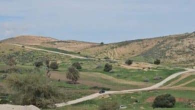 مستوطنون يشقون طريقا استيطانية في الأغوار الشمالية