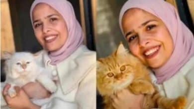الشهيدة رهف الأشقر