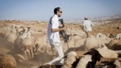 مستوطنون مستوطنين