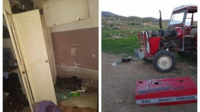 مستوطنون يهاجمون تجمعات المواطنين في الأغوار