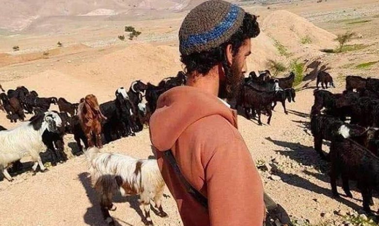 مستوطنون يطاردون رعاة أغنام بمسافر يطا جنوب الخليل