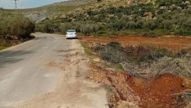 مستوطنون يجرفون عشرات الدونمات غرب سلفيت