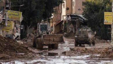 العدوان على جنين ومخيمها