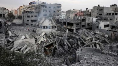"الأغذية العالمي" يؤكد ضرورة استمرار وقف النار في غزة