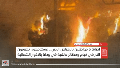 اصابة 5 مواطنين بالرصاص الحي.. مستوطنون يضرمون النار في خيام وحظائر ماشية في بردلة بالاغوار الشمالية