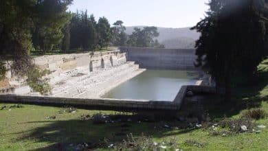 برك سليمان