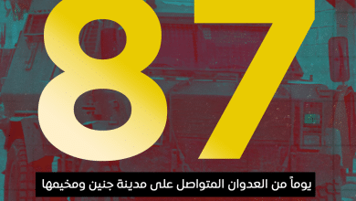العدوان على مدينة جنين ومخيمها