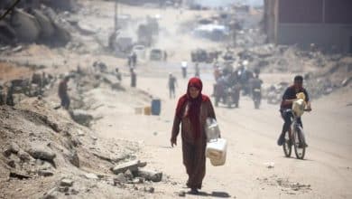 تحذير أممي: 95% من الأرض الزراعية في قطاع غزة غير متاحة