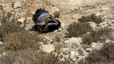 اطلاق صاروخ من اليمن وتوقف حركة الرحلات الجوية في مطار اللد