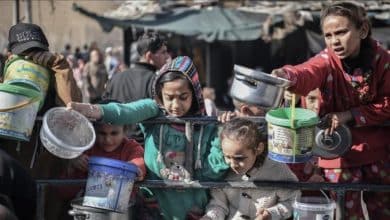 113 منظمة حقوقية تدعو مجلس الأمن لفرض عقوبات على "إسرائيل"