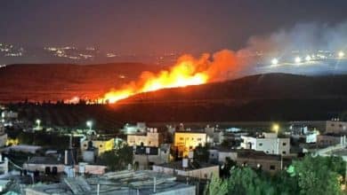 مستوطنون يشعلون النار في أراضٍ زراعية بالمغير ويقيمون بؤرة استيطانية شرق بيت لحم