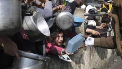 غزة: 44 ألف شاحنة غائبة... وقطرة دعائية في بحر المجاعة